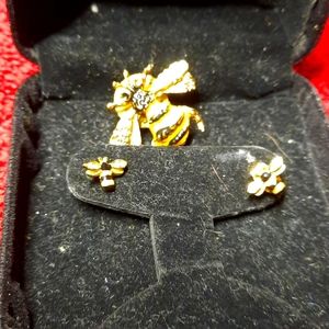 Nice bee pin and earrings